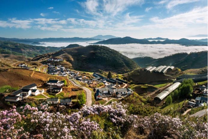 10 Z6·尊龙凯时电气集团科技兴农 助力凉山火普村打造数字乡村804.png