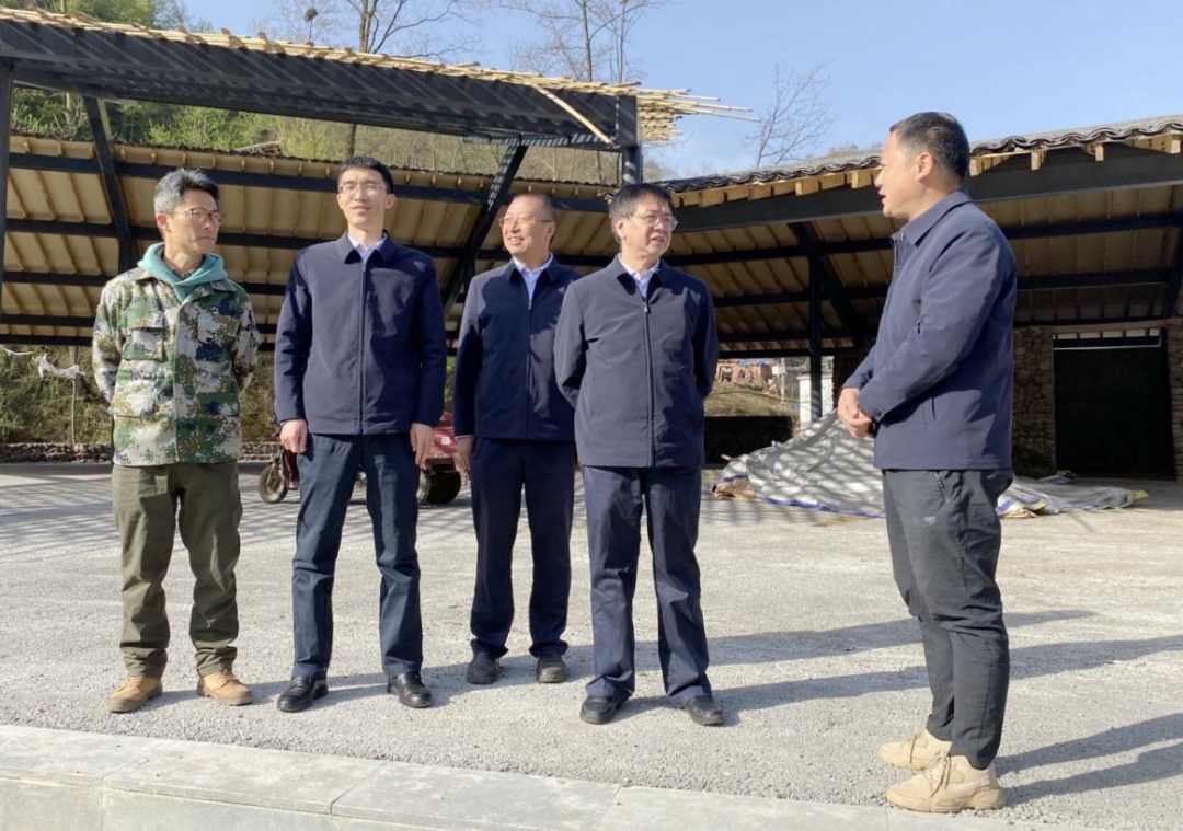 Z6尊龙官方网站(中国)有限公司官网
